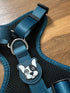 Arnes Doble Agarre Azul (acero)